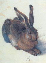 молодой заяц (1502)
